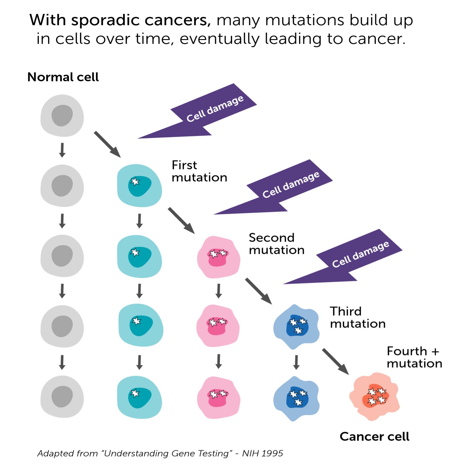 image of normal cells becoming cancer cells