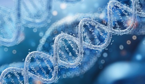 Keeping Up with Hereditary Cancer Genes