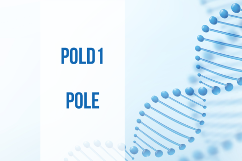 Information for People with Inherited POLD1 and POLE Mutations