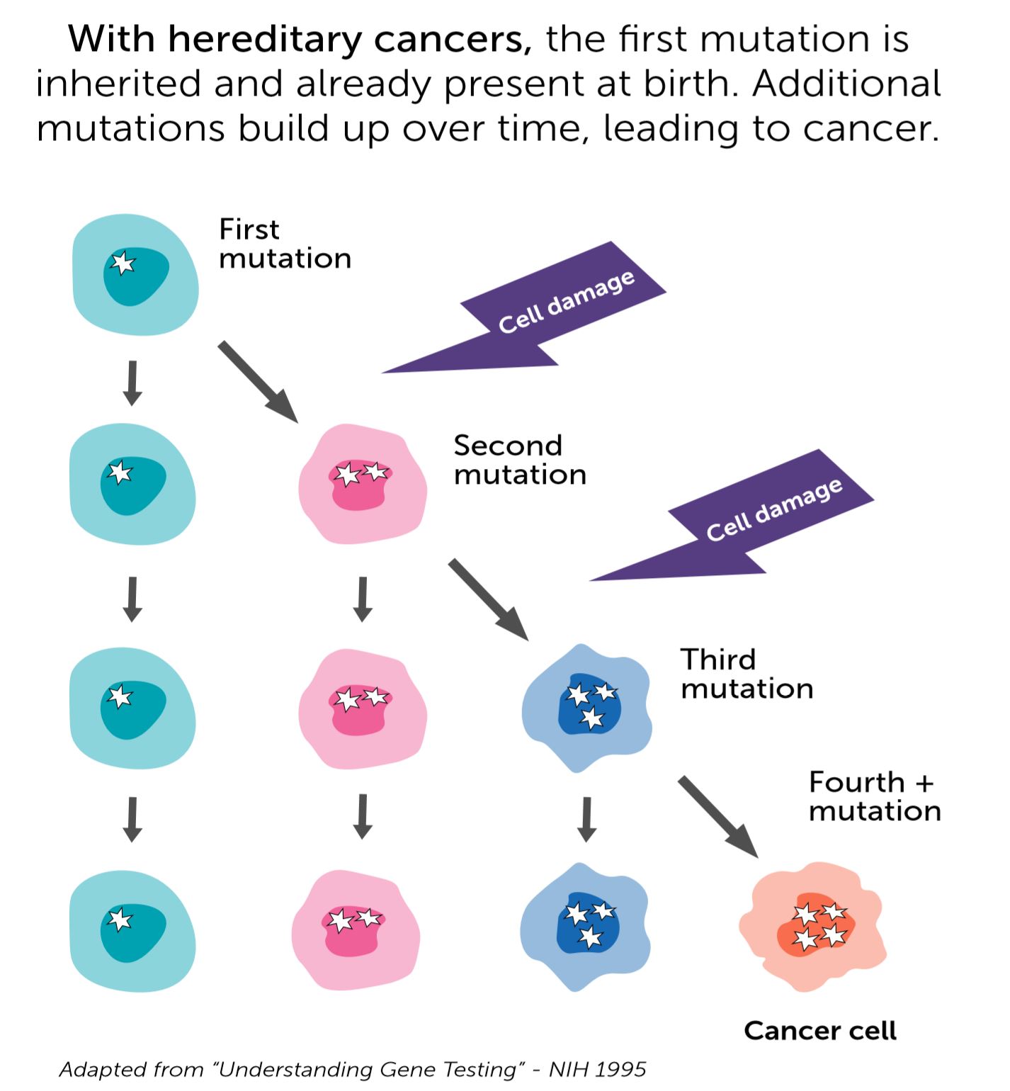 image of cell with inherited mutation becoming a cancer cell